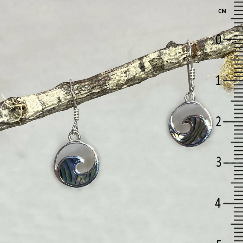 Paua Shell Wave Earrings