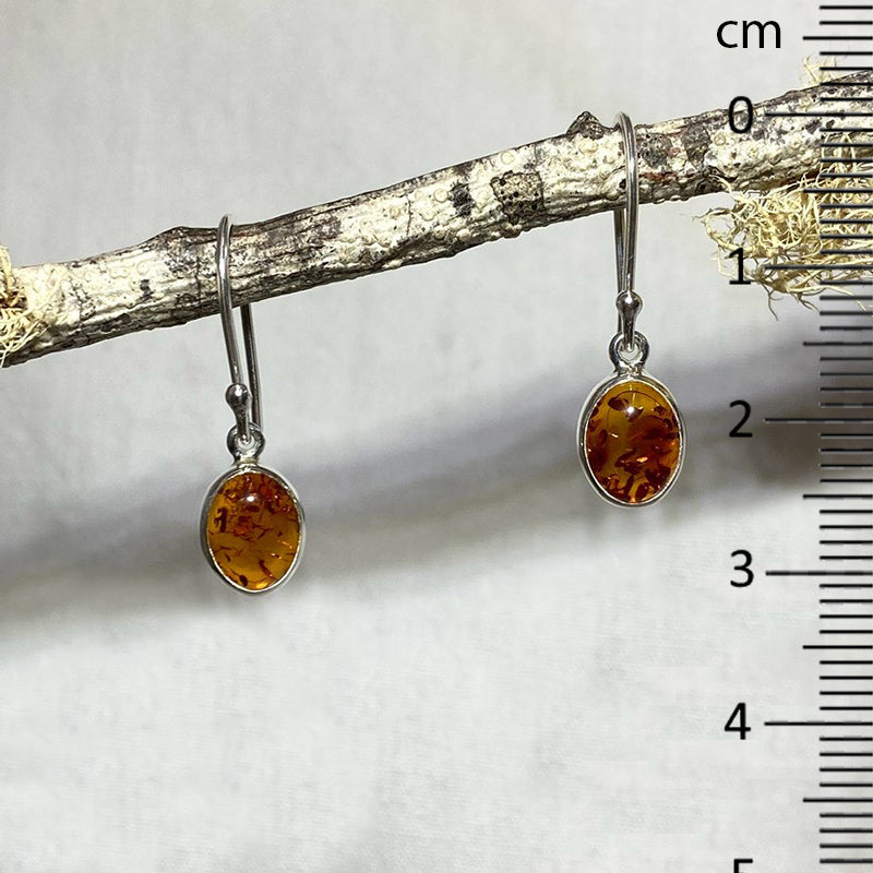 Oval Baltic Amber Earrings