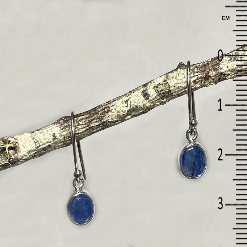 Oval Blue Kyanite Earrings