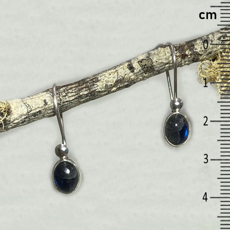 Oval Labradorite Earrings