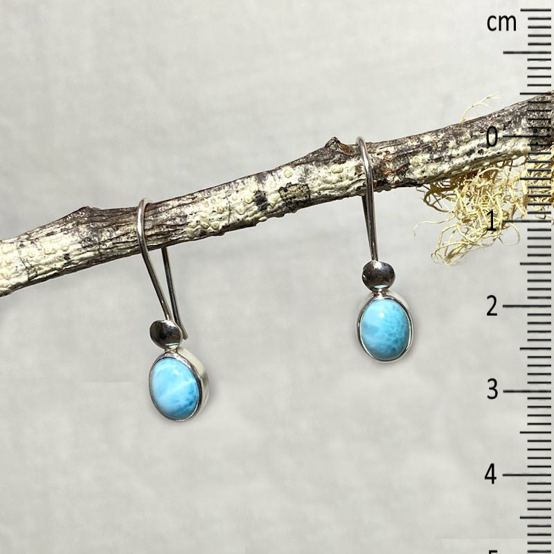 Oval Larimar Earrings
