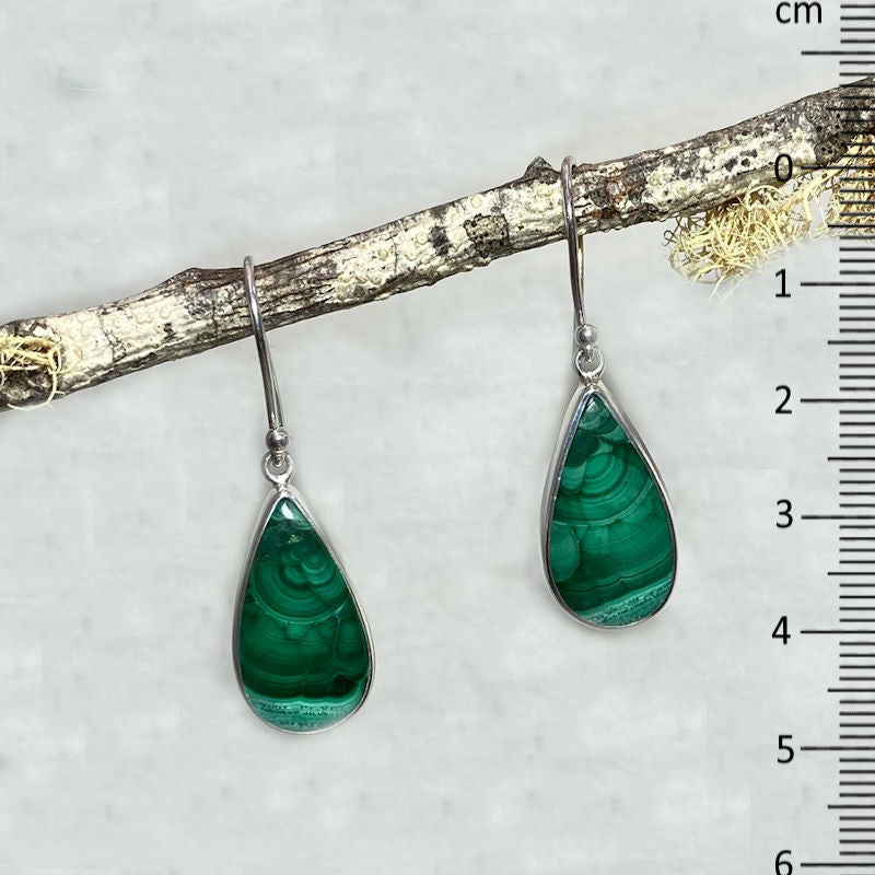 Teardrop Malachite Earrings