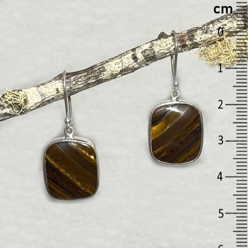 Square Tigers Eye Earrings