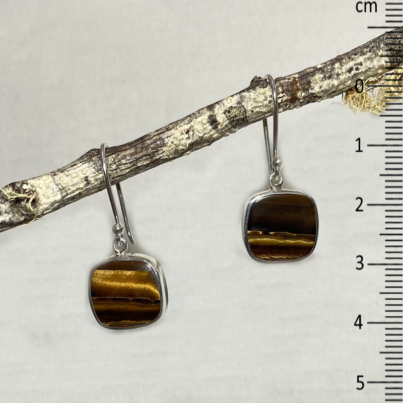 Square Tigers Eye Earrings
