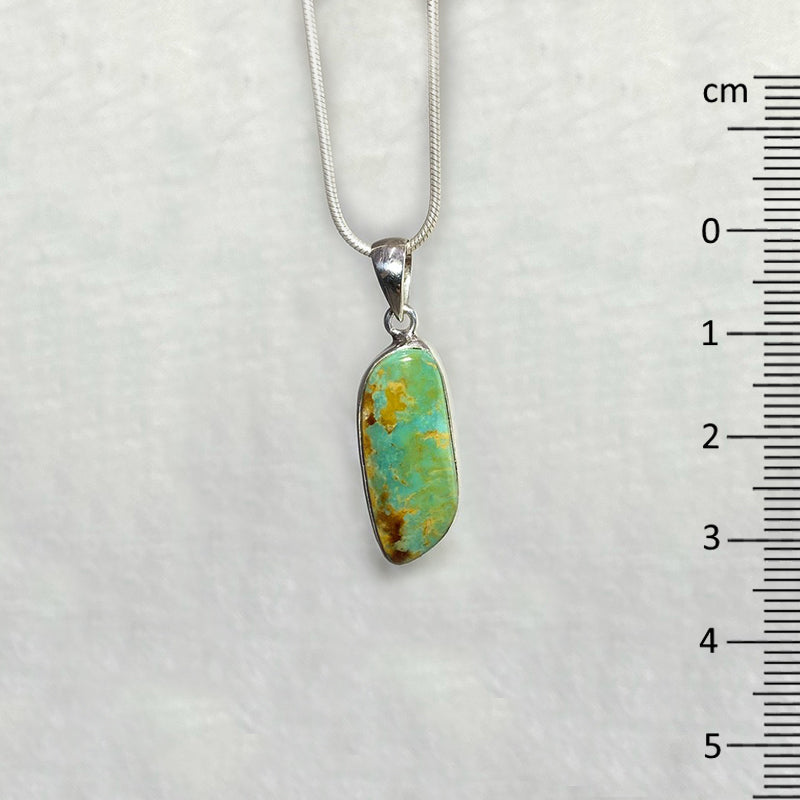 Freeform Turquoise Pendant