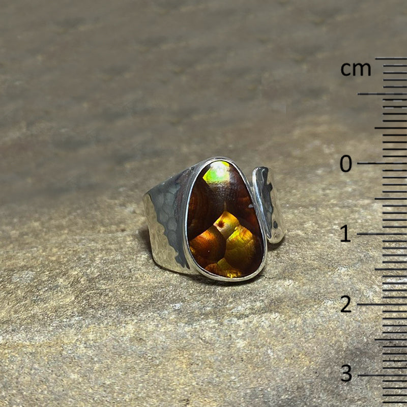 Freeform Mexican Fire Agate Ring- Size 9