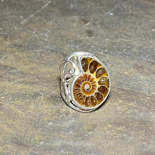 Ammonite Ring- Size 8