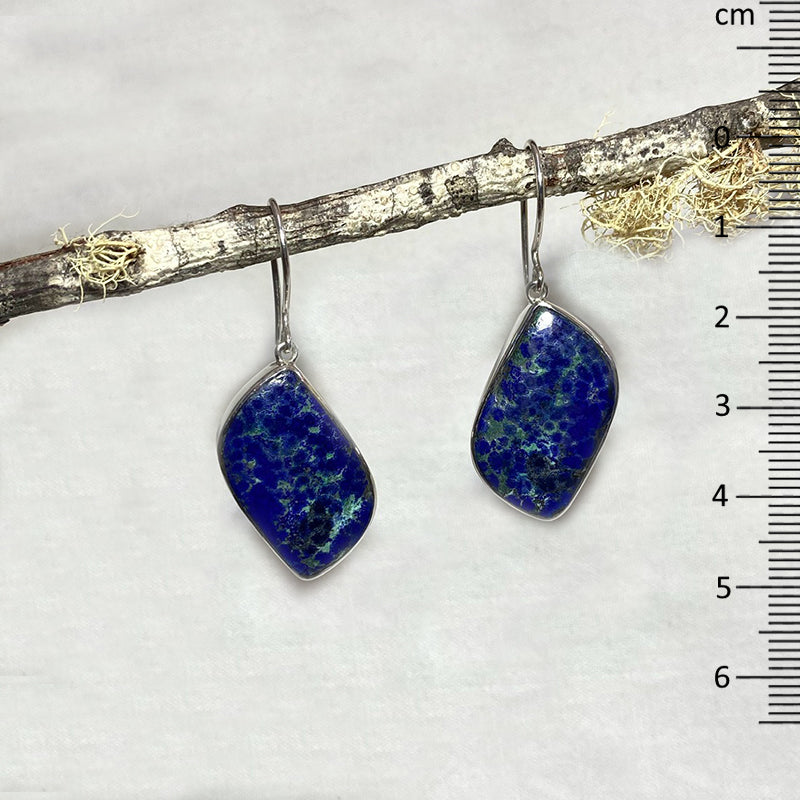 Freeform Bluebird Azurite Earrings