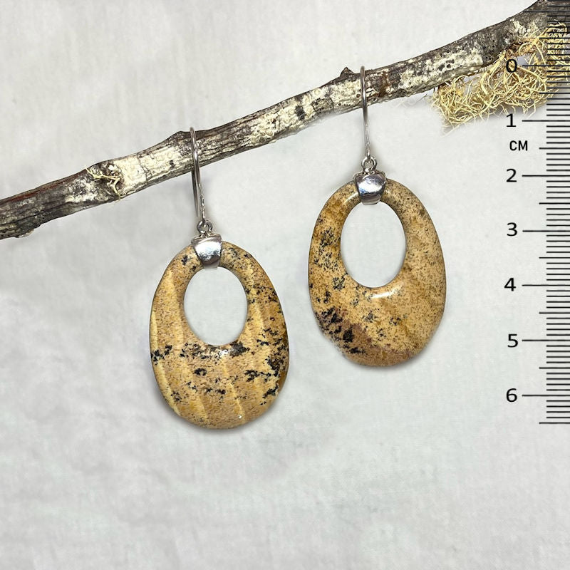 Picture Jasper Earrings