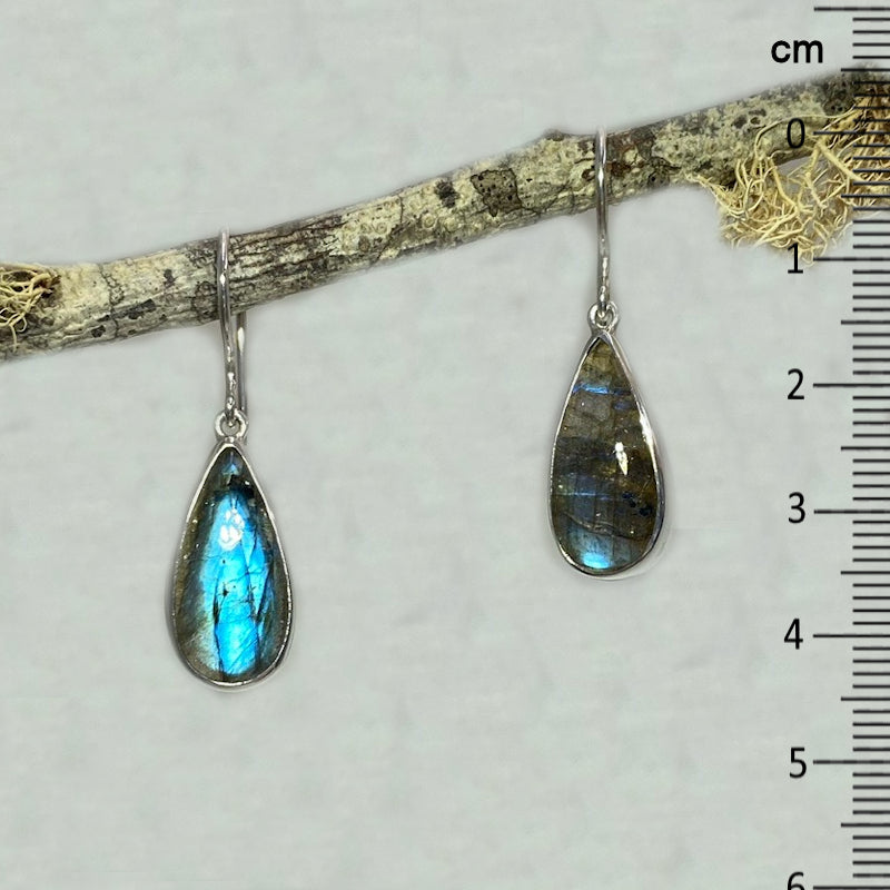 Teardrop Labradorite Earrings