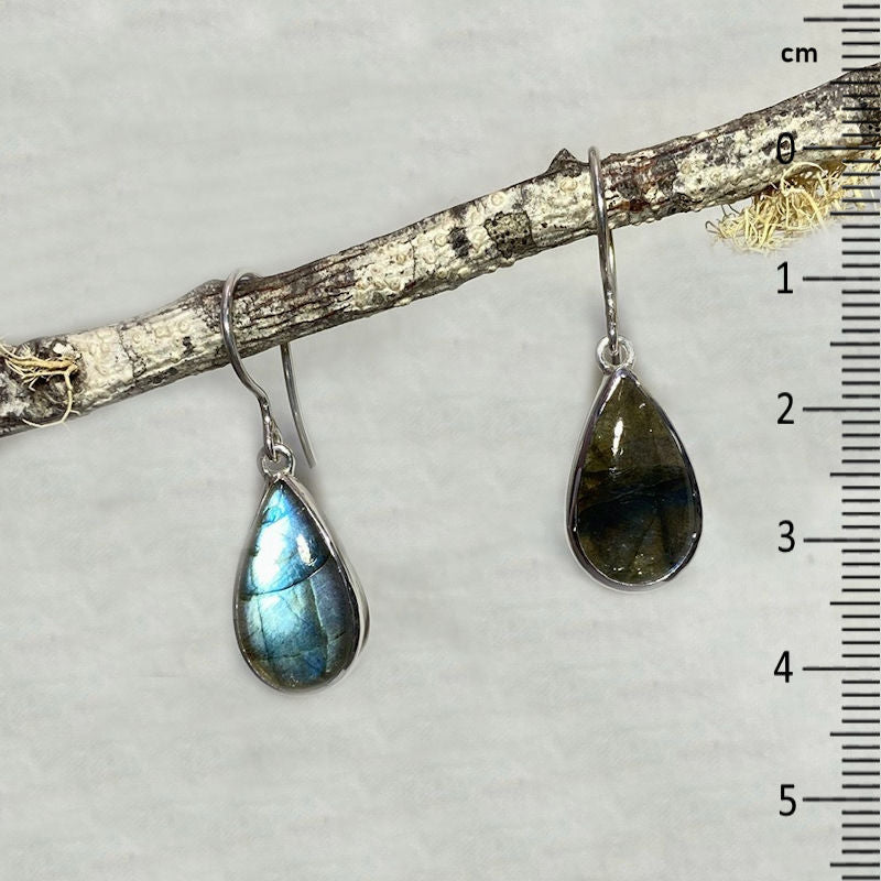 Teardrop Labradorite Earrings