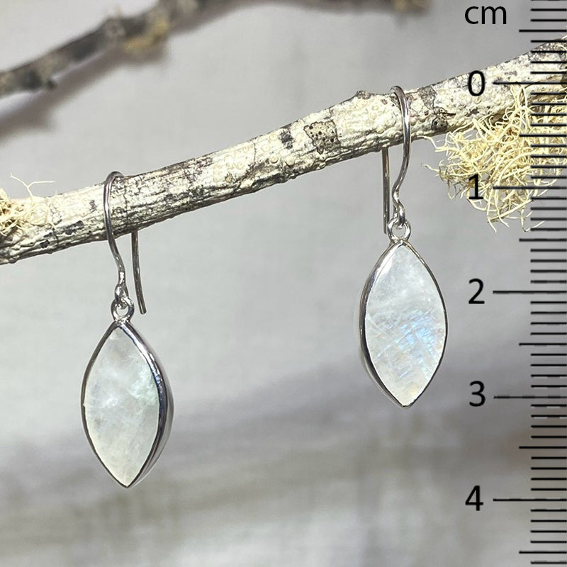 Leaf Rainbow Moonstone Earrings