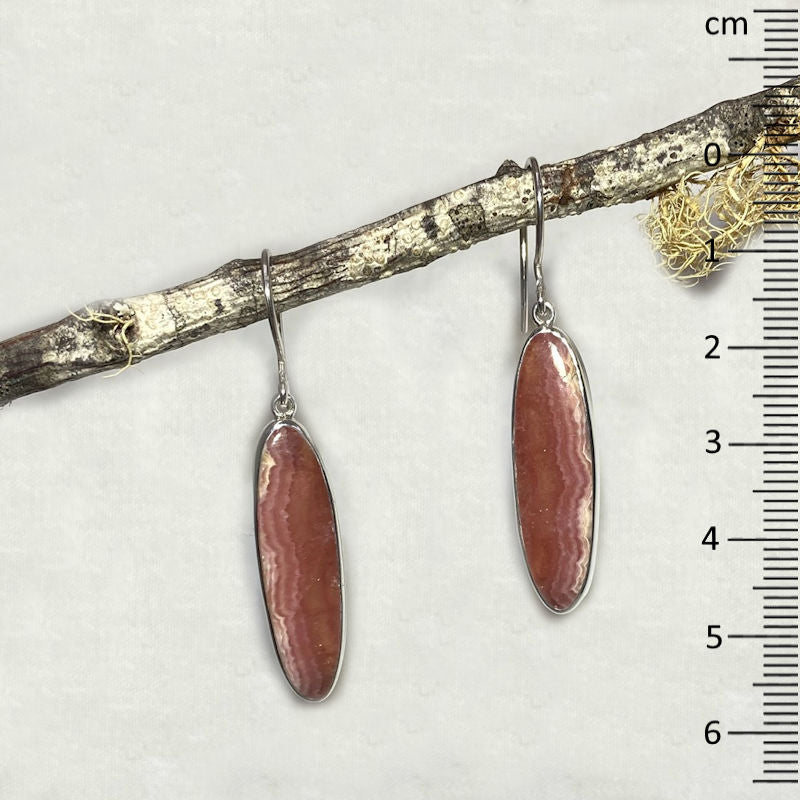 Oval Rhodocrosite Earrings