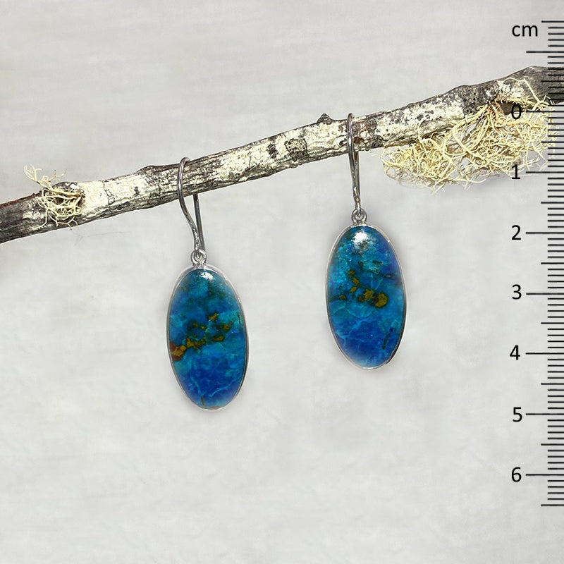 Oval Shattuckite Earrings