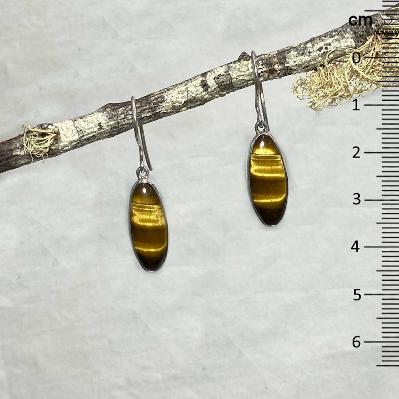 Oval Tigers Eye Earrings