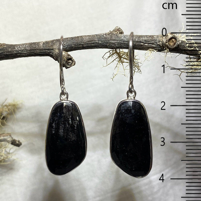 Freeform Faceted Black Tourmaline Earrings