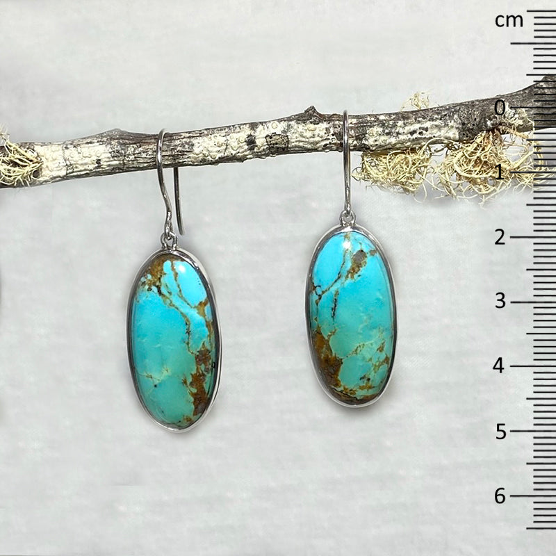 Oval Kingman Turquoise Earrings
