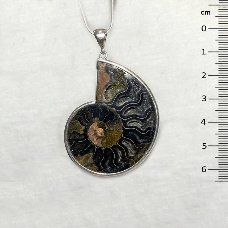 Ammonite Pendant