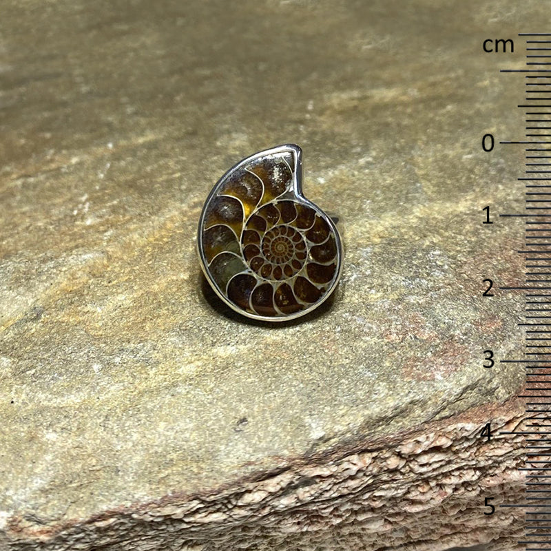 Ammonite Ring- Size 9