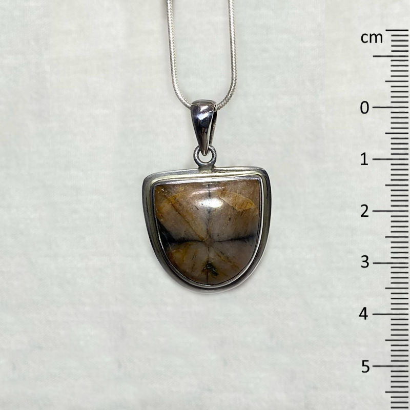 Chiastolite Pendant