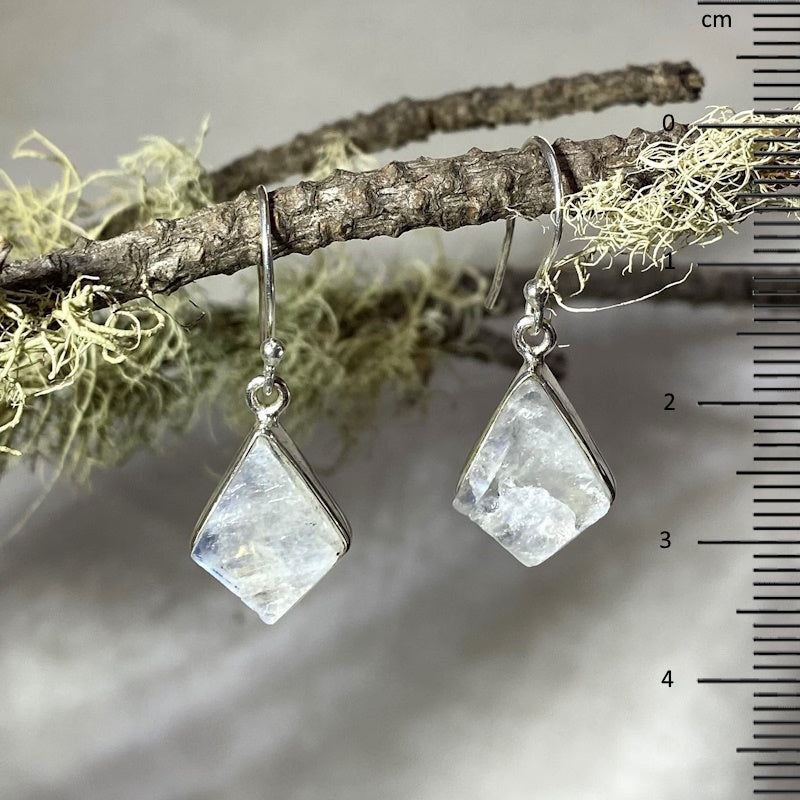 Diamond Shaped Natural Unpolished Rainbow Moonstone Earrings