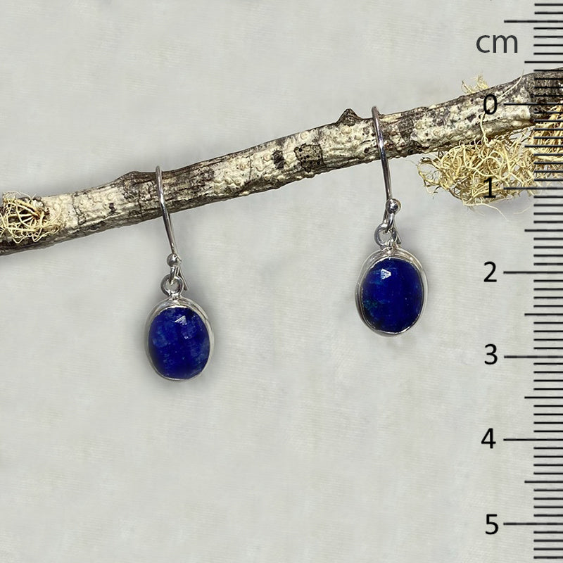 Faceted Oval Sapphire Earrings