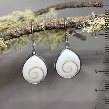 Teardrop Swirl Shell Earrings