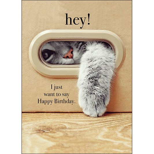 Animal Greeting Cards - Kitten Paw Birthday