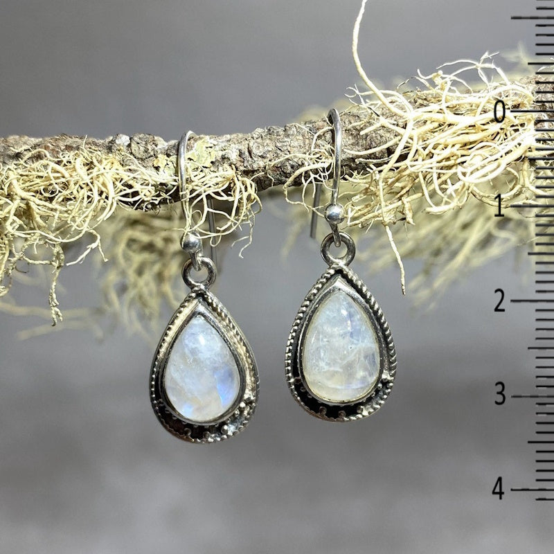 Teardrop Moonstone Earrings