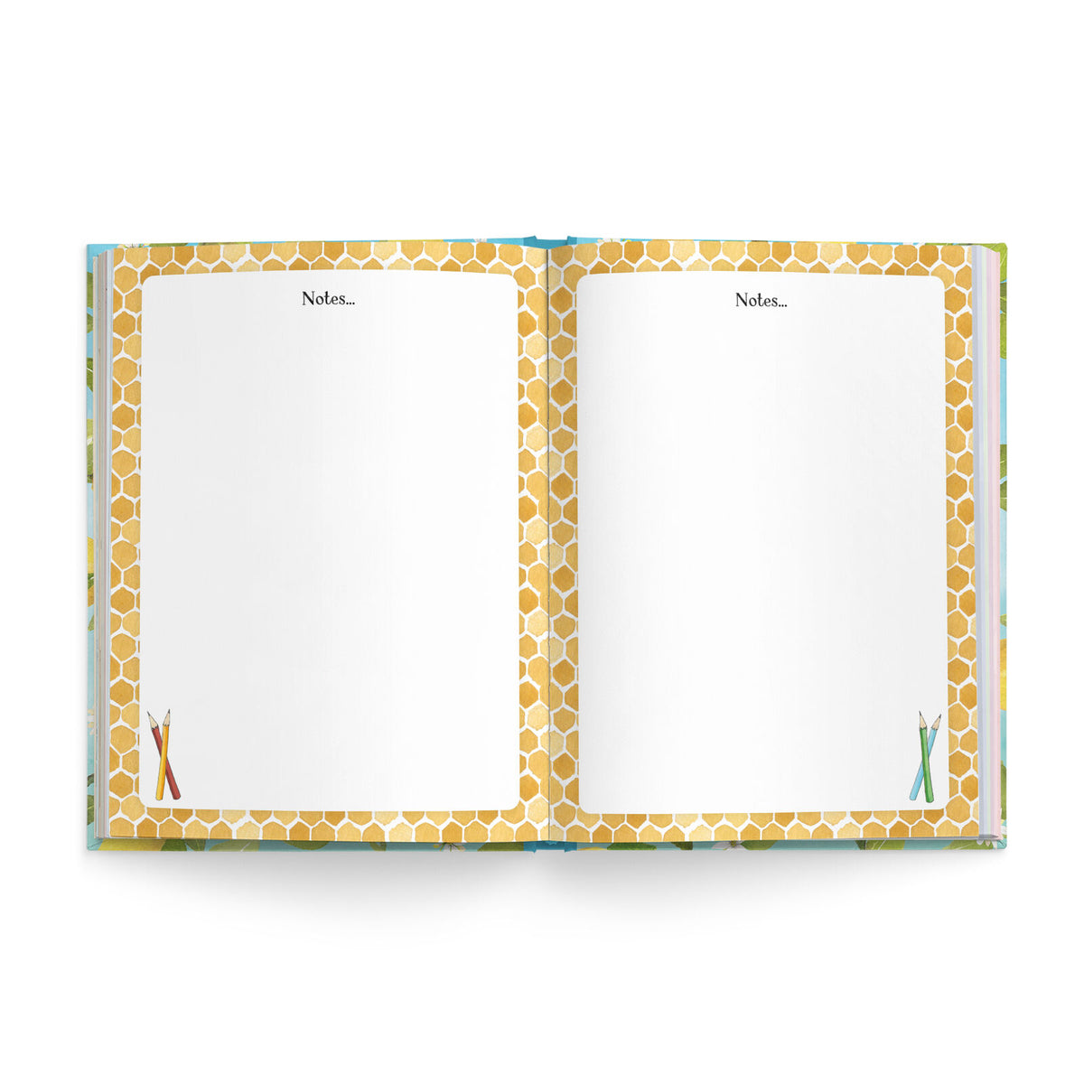 2027 Affirmations Nature Diary