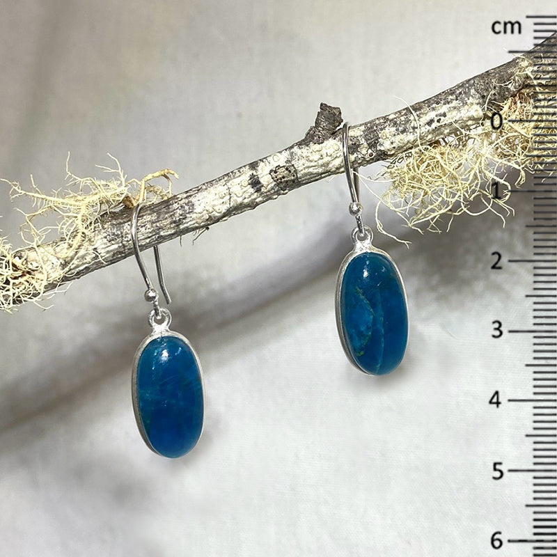 Oval Blue Apatite Earrings