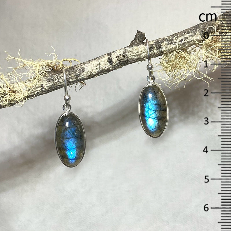 Oval Blue Flash Labradorite Earrings