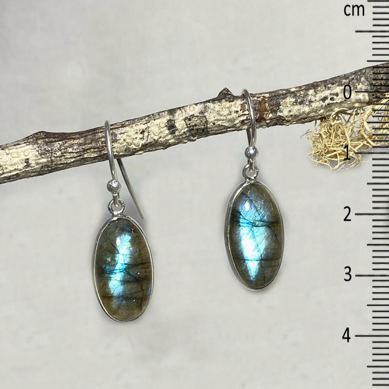 Oval Labradorite Earrings
