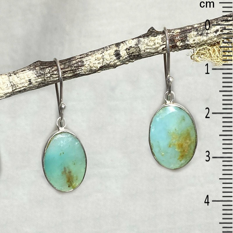 Oval Andean Opal Earrings