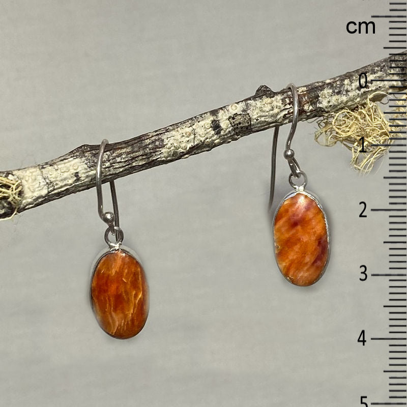 Oval Spondylus Shell Earrings