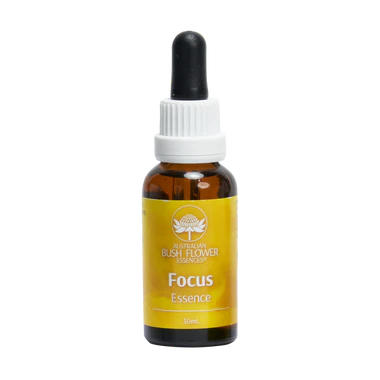 Focus Essence Drops 30ml