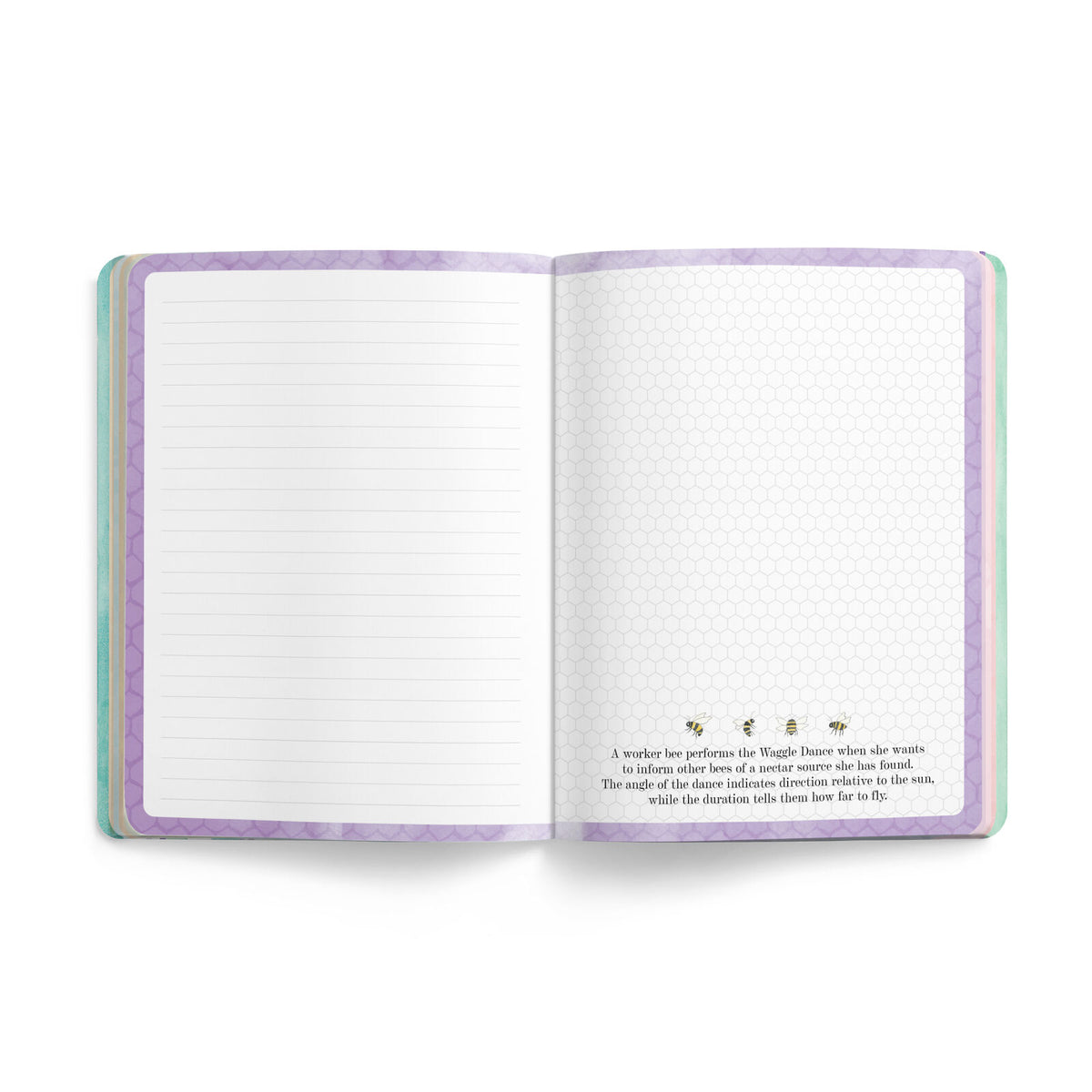 Affirmations Nature Journal- Sage