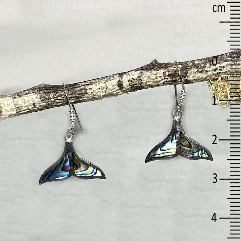 Whale Tail Paua Shell Earrings