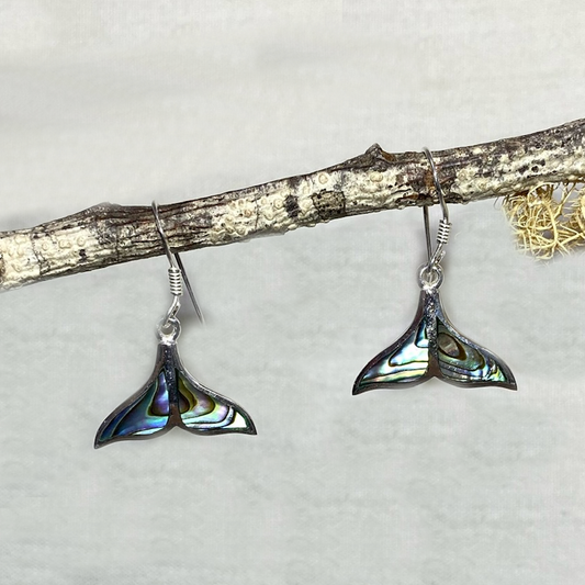 Whale Tail Paua Shell Earrings
