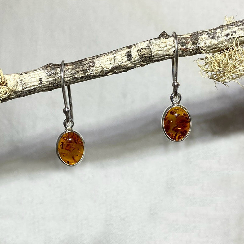 Oval Baltic Amber Earrings