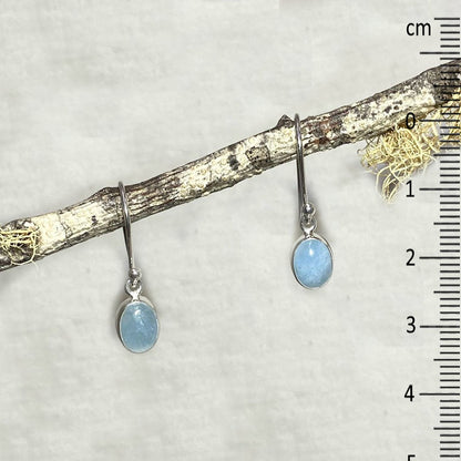 Oval Aquamarine Earrings