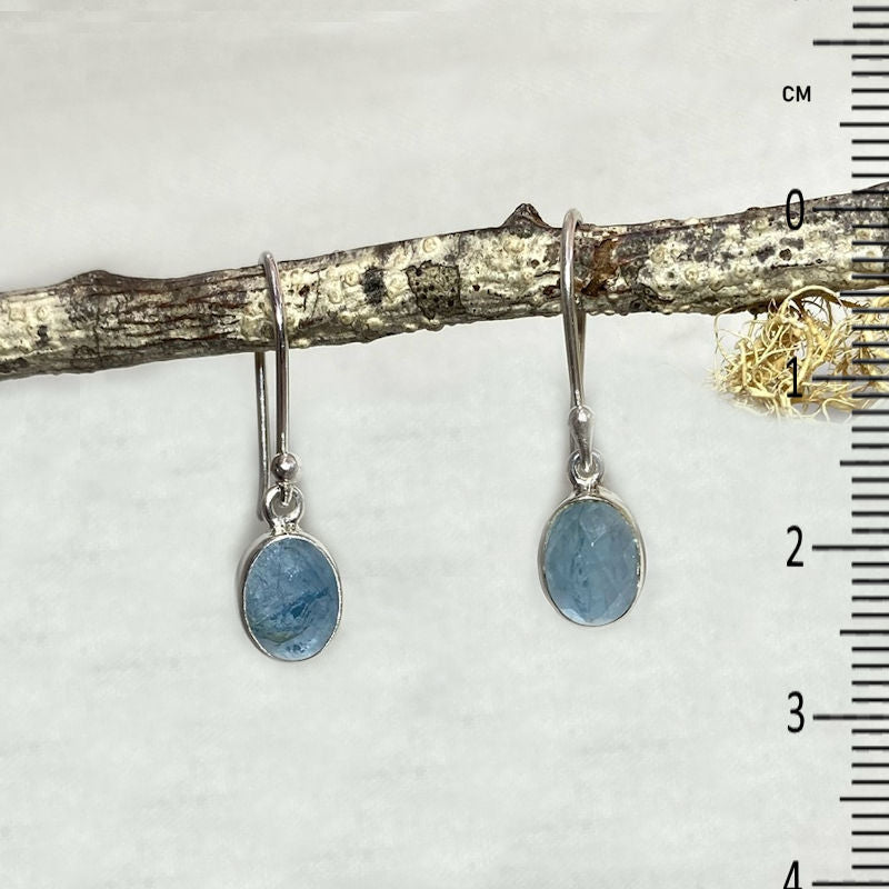 Faceted Oval Aquamarine Earrings