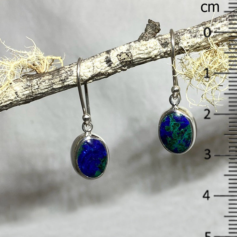 Oval Azurite Earrings