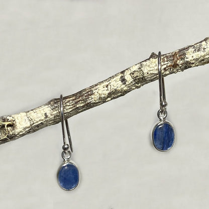 Oval Blue Kyanite Earrings