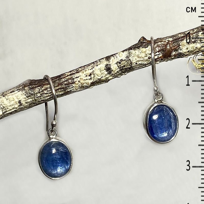 Oval Blue Kyanite Earrings