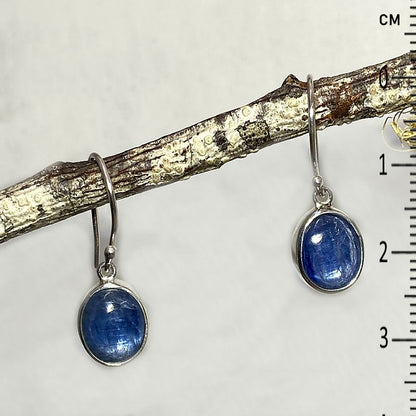 Oval Blue Kyanite Earrings