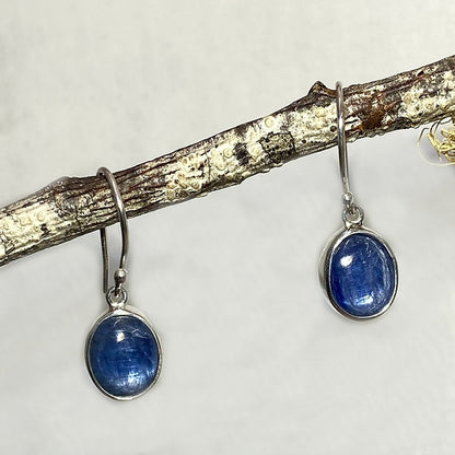 Oval Blue Kyanite Earrings