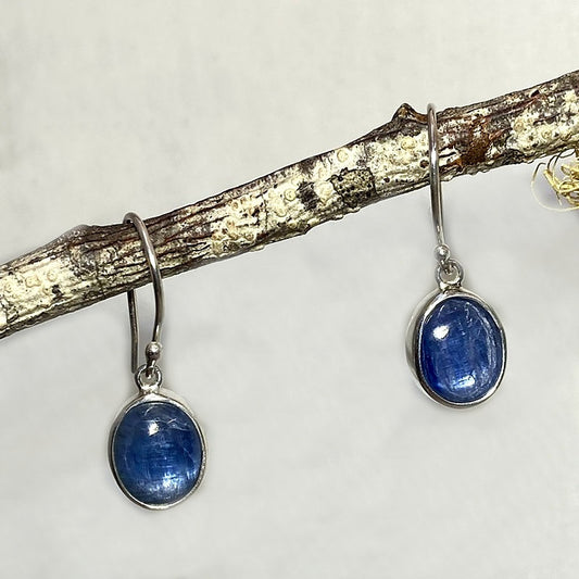 Oval Blue Kyanite Earrings