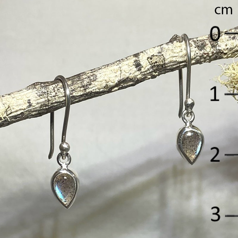 Pear Shaped Labradorite Earrings