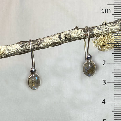 Oval Labradorite Earrings
